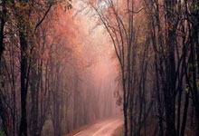 亿万28:798天的等待!41岁阿尔维斯洗脱罪名:无罪释放重获自由.