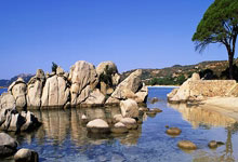 体坛名场面|张怡宁VS王楠,两代大魔王之间的较量,每一秒都扣人心弦.